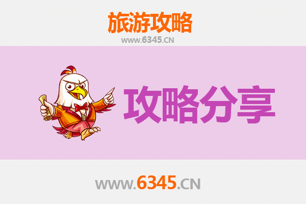 乐山市中旅游攻略：跟团与自由行深度对比
