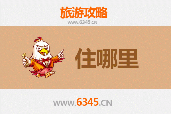 乐山市中区旅游民宿全攻略：住进山水与禅意之间